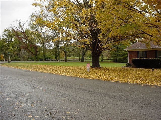 side yard in the fall