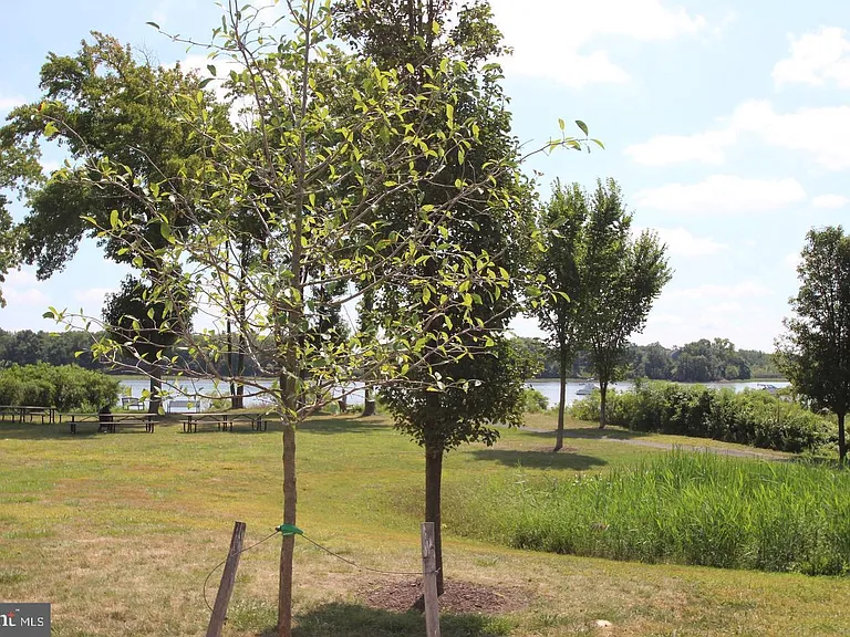 121 Hagen Dr #B — Photo 21