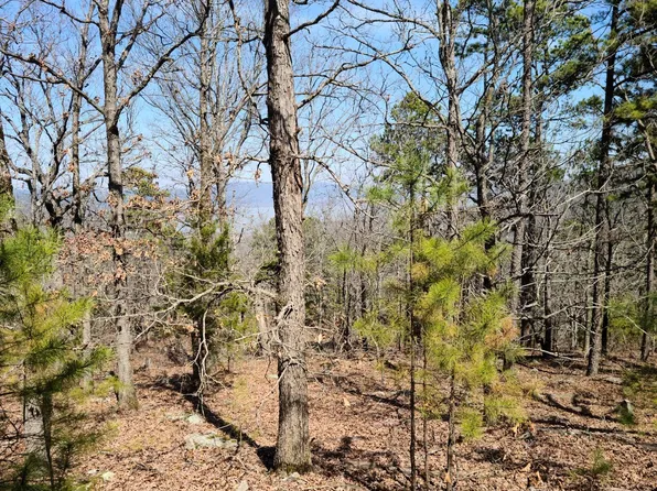 39900 Trophy Ridge Rd, Clayton, OK 74536