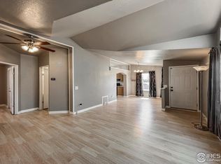 3916 Hayes Ave, Wellington, CO 80549