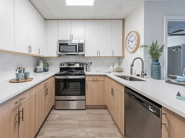 The Pointe at Carrollwood — Photo 2