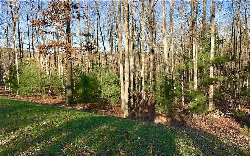 1st image of LOT 1 Sharp Top Settlement #1