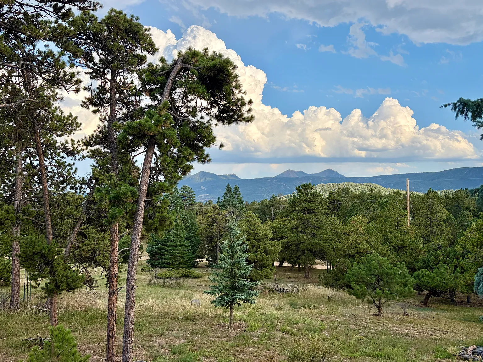 1336 Mountain Pines Rd — Photo 2
