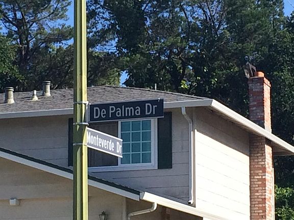 5th image of 1488 De Palma Dr