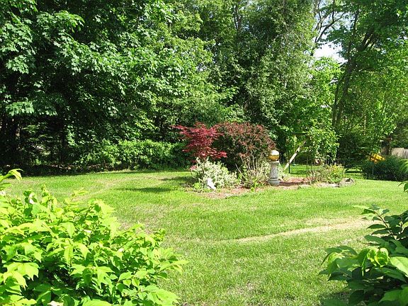 Glorious back yard