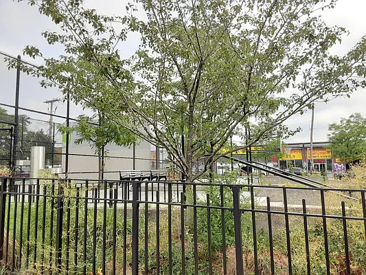 Rented by Genesis Realty & Management Corp | media 29