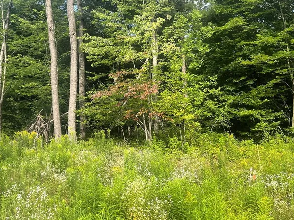 Lot 3 77th Court, Cadott, WI 54727