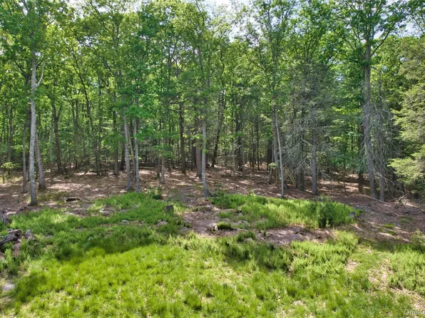 Jersey Road, Wurtsboro, NY 12790