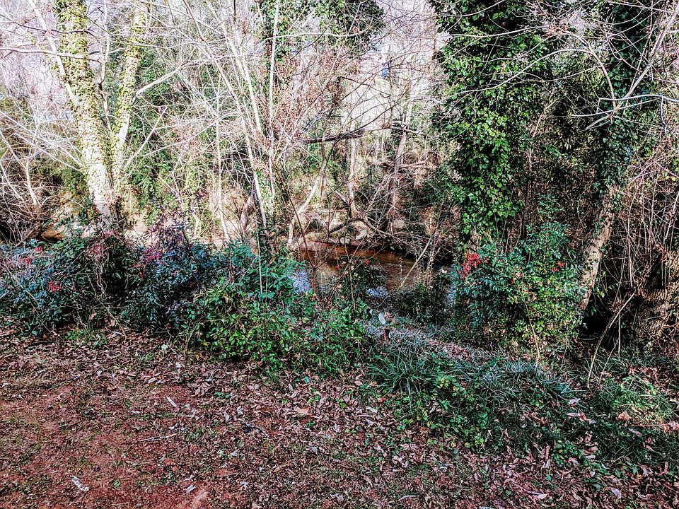 View from unit to Reedy River