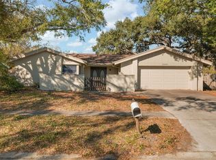 15648 Bear Creek Dr, Tampa, FL 33624