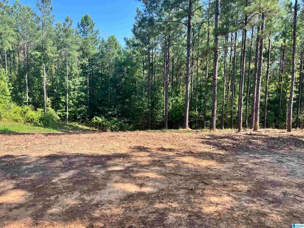 780 Sweet Apple Rd Tract 4, Pell City, AL 35128