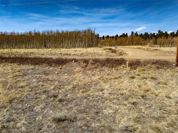1555 Sheep Ridge Rd, Fairplay, CO 80440