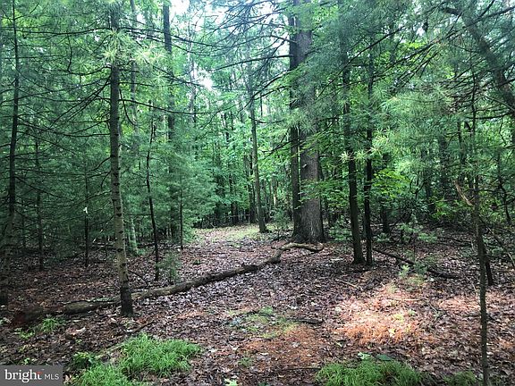 4th image of 0 Bear Cove Ln