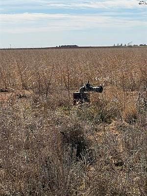 3rd image of County Road 168
