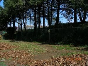 Fenced Rear Yard