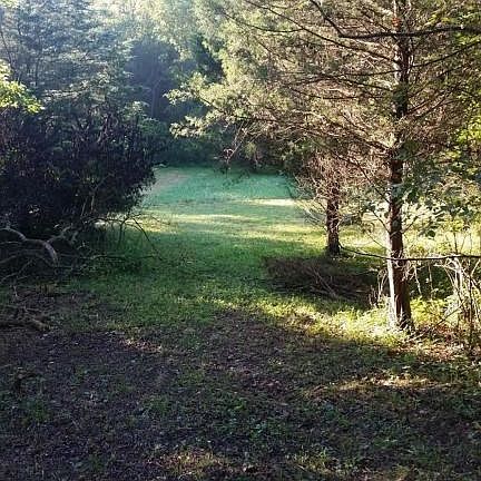 Rear Yard