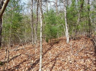 LOT 67 Forest Hill Dr, Blue Ridge, GA 30513
