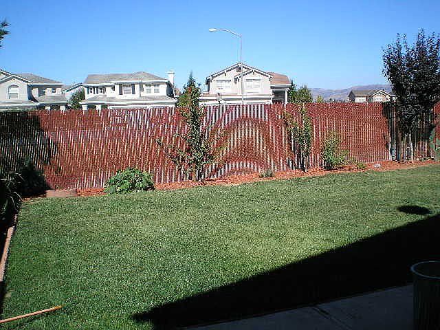 2nd image of 911 Mantelli Dr