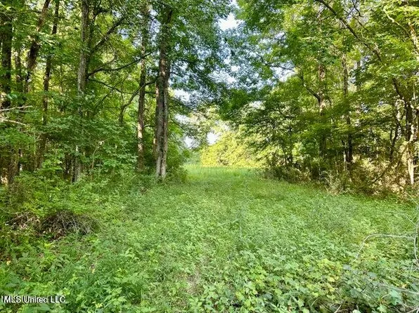 587 Ridge Rd #5, Sarah, MS 38665