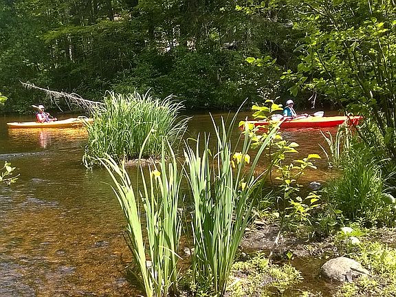 Kayak From Pier to Chain   