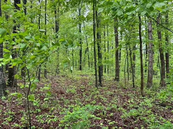 40 Herpel Rd, Mountain View, AR 72560