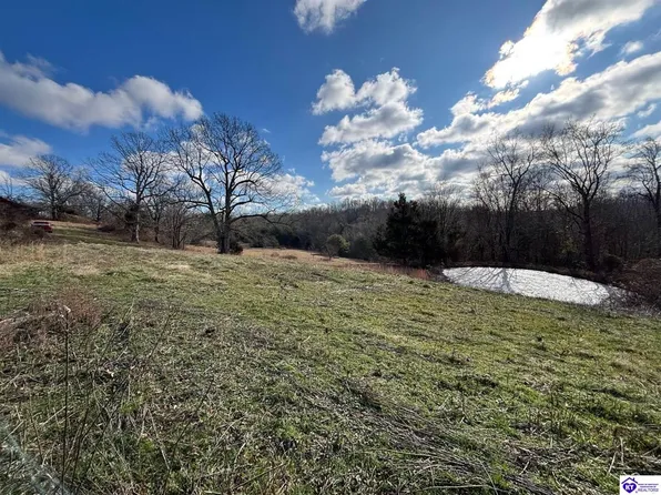 780 Gibson Ln, Clarkson, KY 42726