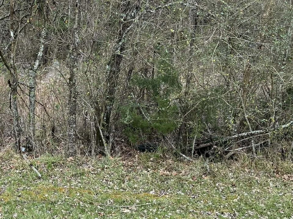 1st image of Old Vicksburg Rd