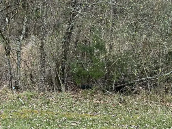 Old Vicksburg Rd, Clinton, MS 39056