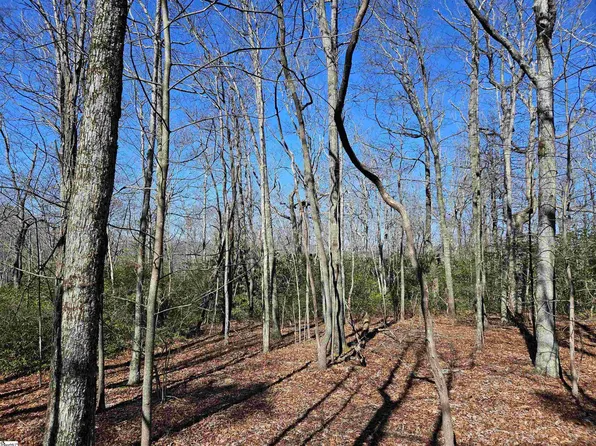 6 & 10 Larkspur Ln, Cleveland, SC 29635