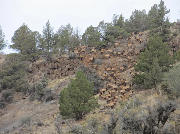 Highway 402, Kimberly, OR 97848