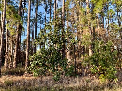 15 Nikki Cir, Santa Rosa Beach, FL, 32459
