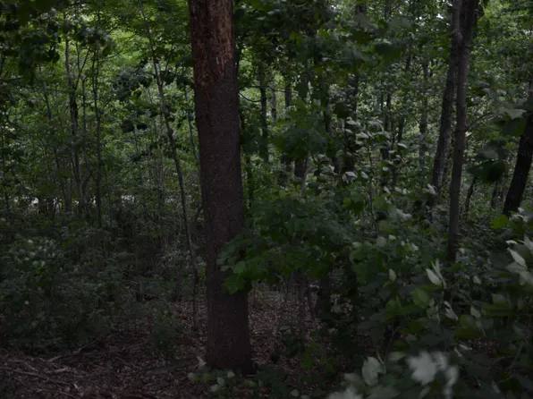 0 Altamont Forest Dr Lot 16, Greenville, SC 29609