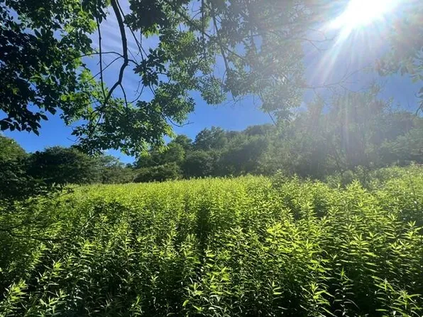 34 Hawthorne Valley, Snowshoe, WV 26209