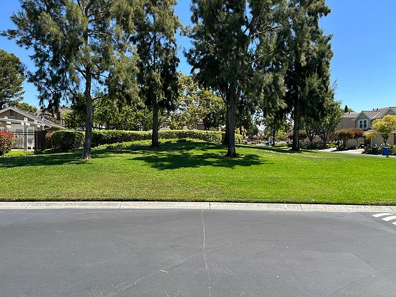 Standing at end of driveway, HOA private green park area.