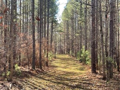 0 Banning Rd #28-29, Whitesburg, GA, 30185