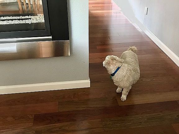 New Cherry hardwood floor
