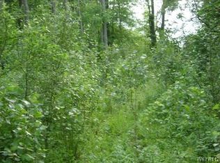 0 Creek Rd, Lewiston, NY 14092