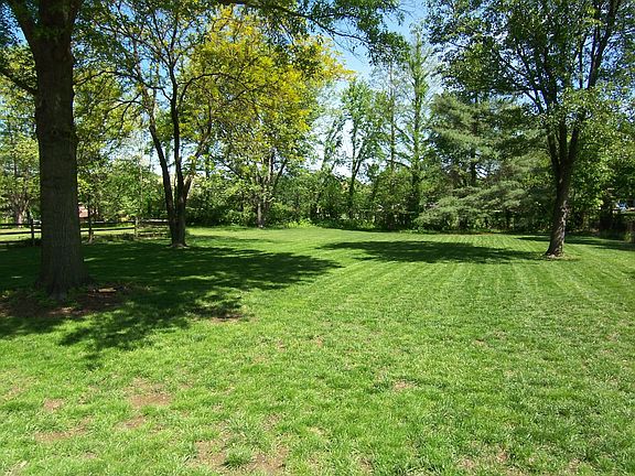 View of Back Yard
