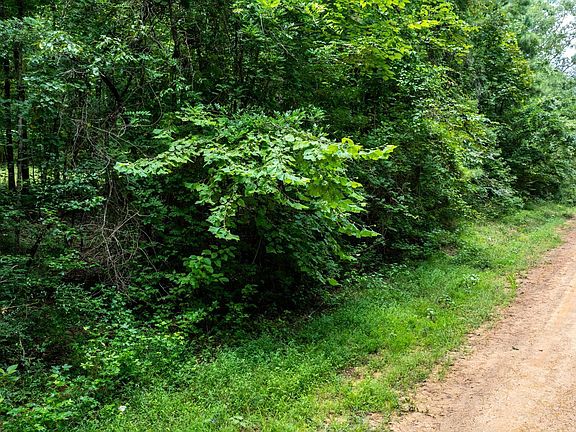 5th image of 10 Frank Smith Rd