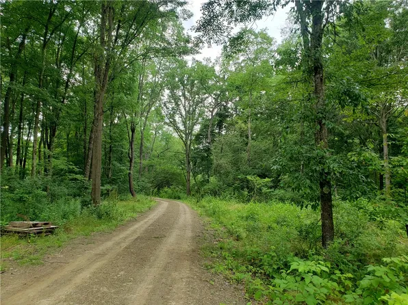 LOT 6 Saint Joe Rd, Chicora, PA 16025