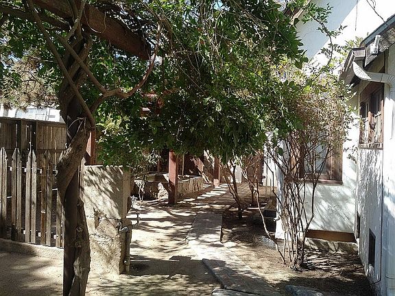 Side Pond/Garden Area