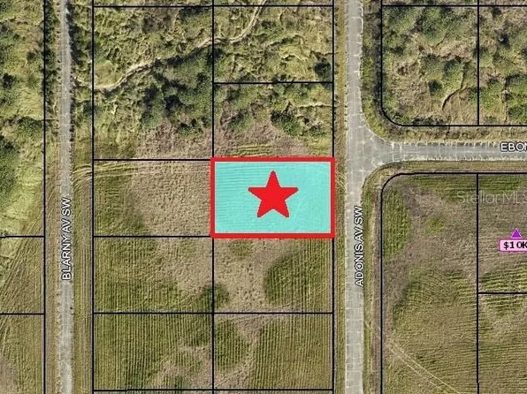 2524 ADONIS AVENUE SW LOT 17, PALM BAY, FL 32908