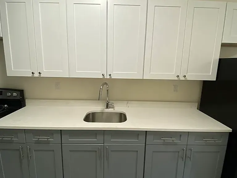 234 Schenectady Ave #3 — Photo 3