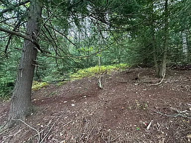 Property photo 21