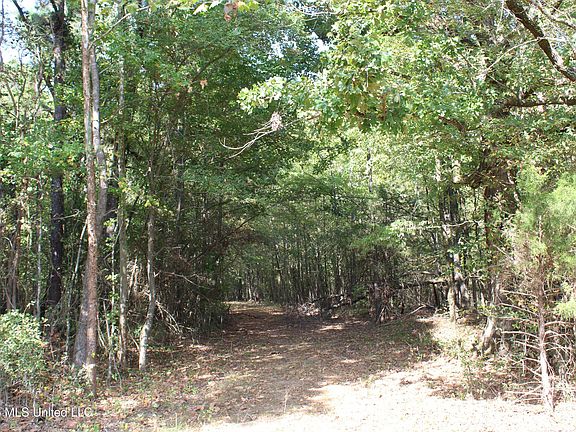 2nd image of 11 Star Landing Rd