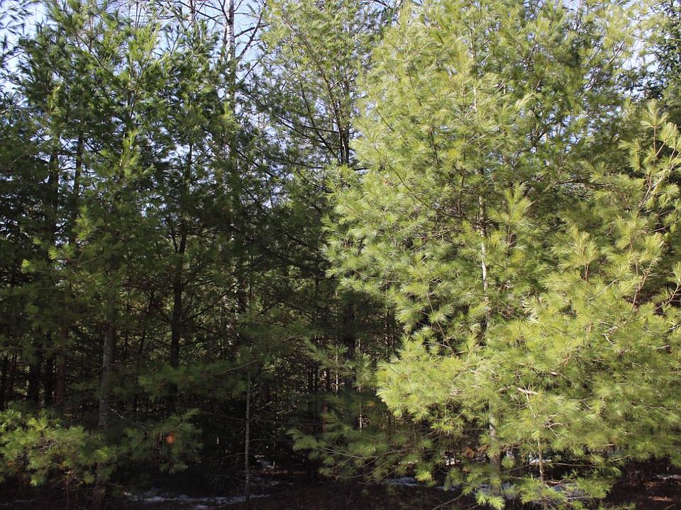 2nd image of N Bluebird Rd