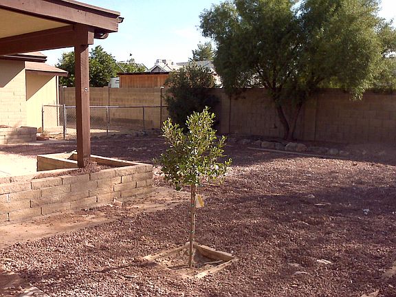 4th image of 5315 W Dahlia Dr