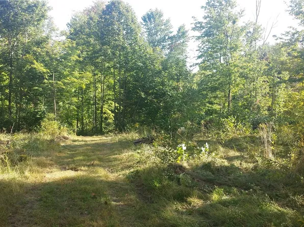 4118 Mennonite Rd, Mantua, OH 44255