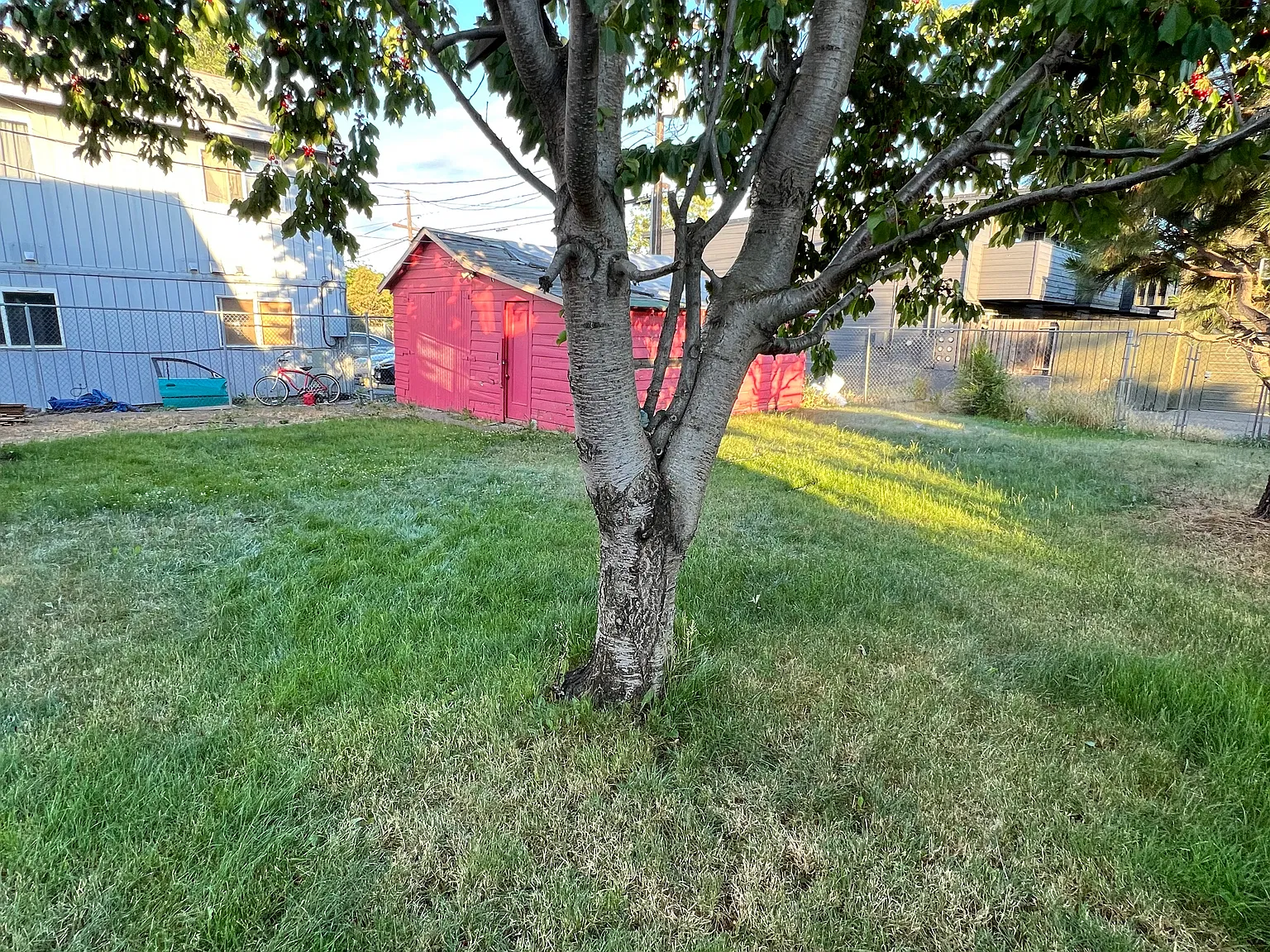 2 bed, 912 sqft, $1,500 — Photo 4