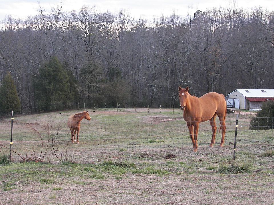 2nd image of 2180 Randolph Still Rd